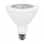 LED PAR38 射燈膽 - 18W / E27 / 3000K