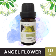 Aroma Oil น้ำมันหอมระเหย กลิ่นแตรนางฟ้า Angel Flower  ขนาด 10ml - น้ำมันอโรม่า Fragrance Oil ใช้กับเ