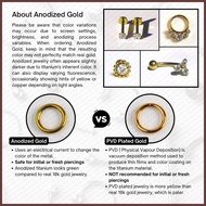 FiBiCandy OITL001 Ball Only Astm F136 Titanium Earring Lock Internally Threaded