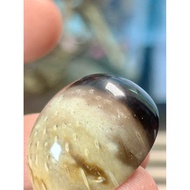 Makjud JantanFossil Nibong Asli Motif Gabungan Gelap Cerah Saiz 50 Sen Batu Permata Rare NaturalFoss
