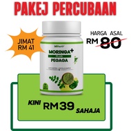Ready stock[TERMURAH] Bioherbs Moringa Pegaga Plus | Extract Daun Kelor + Pegaga High Nutrient Healt