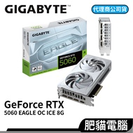 GIGABYTE Technology RTX5060 EAGLE OC ICE 8G Card Length 20.8cm 5060 Graphics