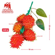Fake Fruit Rambutan Bunch 140g (25x10cm) Vietnamese Model Thai Technology 99% AUTHENTIC