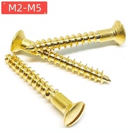 20-100pcs M2M2.5M3M3.5M4M4.5M5 Pure Solid Brass Copper DIN95 Half Countersunk Slotted Round Head Sel
