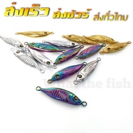 Micro Jig Size 7 To 30 Grams Bait Sea Fishing What the fish Shop Model R129 Micro Jig Set