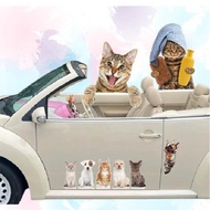 Cute Pet Cat Sticker 3D Cat Sticker Car Sticker Glass Sticker Wall Sticker Cat