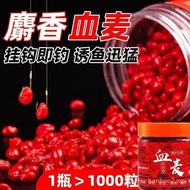 Fishing Wheat Berry Blood Wheat Bait Valley Road Fragrant Wild Fishing Catfish Carp Grass Carp Four Seasons Universal Red Worm Particles Fishing Bait Children Wild Outdoor3.29