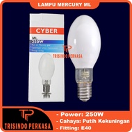 Lampu Mercury ML 250W 250 watt E40 Bola Lampu Jalan