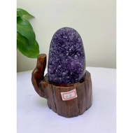 High-grade Uruguay Natural Amethyst Cave Amethyst Cluster Raw Ore No Cement Weight 0.8kg Gathering Wealth Purple Qi Donglai Money Fortune Fortune Fortune Fortune For Generation Lai Cai Town House Exorcising Evil Degaussing Purification Home Office First C