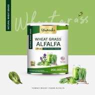 Wheatgrass Alpha Fa PLUS Dietary Supplement (WHEAT GRASS ALFALFA PLUS) High Fiber Chlorophyll