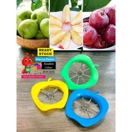 ANT WORLD STAINLESS STEEL CORER SLICER FRUIT CUTTER FRUIT DIVIDER APPLE CUTTER /PEMOTONG BUAH 43g不透钢