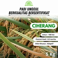 BARU!! Benih Padi Ciherang Premium 5kg Bersertifikat Padi Unggul Bibit