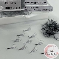 5D eyelash extension fan - box of 500 fans