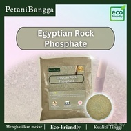 ERP-Baja Penggalak Akar | Baja Penggalak Akar - Egyptian Rock Phosphate (ERP) | Baja Akar import dar