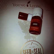 Ginger 2ml / 5ml (ORIGINAL BOTTLE) / 10ml roller bottle