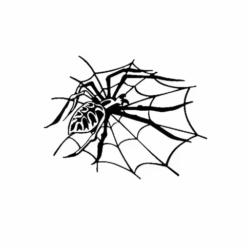 Spider Webs Car Sticker Horror Weird Waterproof Sunscreen Halloween Vinyl Decal for Toyota Honda Lad