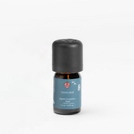 丁香花苞 精油/ 辛香調/ 單方精油