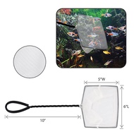 Fish Net (White - Fine) 12"Handle (Net Size - 6"L x 5"W  /  8"L x 6"W)
