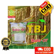 Padi Bibit Padi Kabir 07 Premium