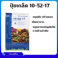 ปุ๋ยดอก ผล โกรแม็กซ์ 10-52-17 กิฟฟารีน สูตรฟอสฟอรัสสูง หยุดต้น สร้างดอก พัฒนาราก หยุดการเจริญเติบโตท