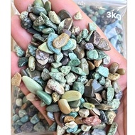 HIJAU 3kg Pancawarna Green Coral Stone 3kg - Natural Color, Long Lasting, Decoration ELEGAN