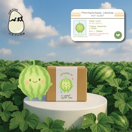 Gardening Kit - Grow Kit / Paket Berkebun Bibit / Benih / Hampers Lebaran / Wedding / Christmas kado