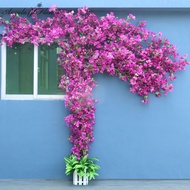 Artificial Flower DIY Tree Vine Bougainvillea Floral wall Outdoor Balcony Garden Plants Wall Wedding