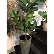 Ready Stok Ready Stok Premium Quality Artificial Fiddle Fig