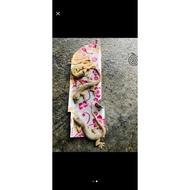 10 Lizard Catcher Stickers Lizard Glue Lizard Trap Glue Kills Geckos Bird's Nest Gecko Stickers