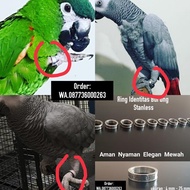 Ready Oke Bird Parrot Identity Ring Foraging Budgie Cockatiel Budgie Cockatiel Budgie