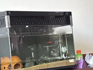 小米智能魚缸