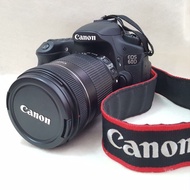 Canon EOS 60D with 18-135mm lens