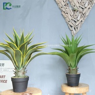 Potted Agave Simulation Factory Direct Sales Indoor Orchid Plant Green Plant Simulation Decoration S