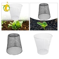 [Asiyy] Wire Cloche Avoiding Small Animals Plant Cover for Rabbit Outdoor Fruit