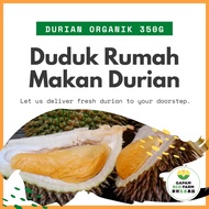 【FRESH】Gapam Eco Farm Organic Durian Pulp 350g 有机老树榴莲 D24 D13 Khawin Kampung Musang King 红虾 Old Tree