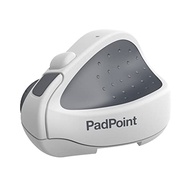 Swiftpoint PadPoint Wireless Mouse Made for iPad Pro, Air, MacBook & Tablet | Mini Ergo Pen Grip | C