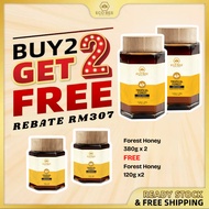 ECO BEE Forest Raw Honey Stomach Sleep Headache Bloating Acid Reflux Appetite Constipation Kids Hala