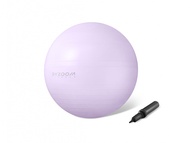 BYZOOM FITNESS GYM BALL -Purple (Dia 60cm)