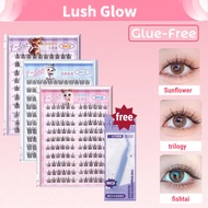 120-100 Cluster Bqi False Eyelashes Glue Free Self Adhesive Lashes Natural Waterproof Reusable