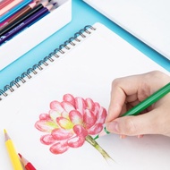 得力Deli Super Wings油性色鉛筆/EC00830/36色