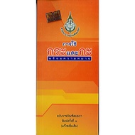Book: Using The Book And The With Meaning Bachelor's Degree/35.-/9786163890061