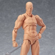 2.0Body Model Human Figure Student Art Drawing Reference Male and Female Figurine figma Movable join