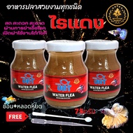 Fish Food Red Worms UHT For Guppies Fighting Beautiful