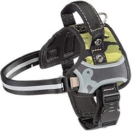 Fur-Plast Hercules HERCULES P Harness CAMMIE Compatible Weight Up to 33.1 lbs (15 kg), Saddle Goods,