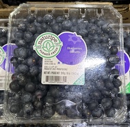 美兒小舖COSTCO40好市多代購～空運 智利藍莓/冷藏新鮮藍莓(510g/盒)當季鮮採商品