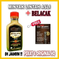 Minyak Lintah Asli  CAMPUR Ikan Belacak Free Gel Gambir P7DU