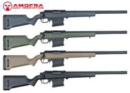 JHS（（金和勝 生存遊戲專賣））AMOEBA AS01 空氣狙擊槍 D6172