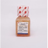 Standard Fetal Bovine Serum, 100ml
