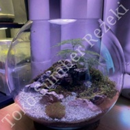 Aquarium Round Glass Glass 25 CM Clear Tank Fish Tank Circle Vase 25CM Circle Glass Aquascape Bullet
