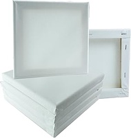 BMZXCH Pack of 6 Mini White Small Cotton Stretcher Frame Empty Thin Canvas Canvases Small Set Painti